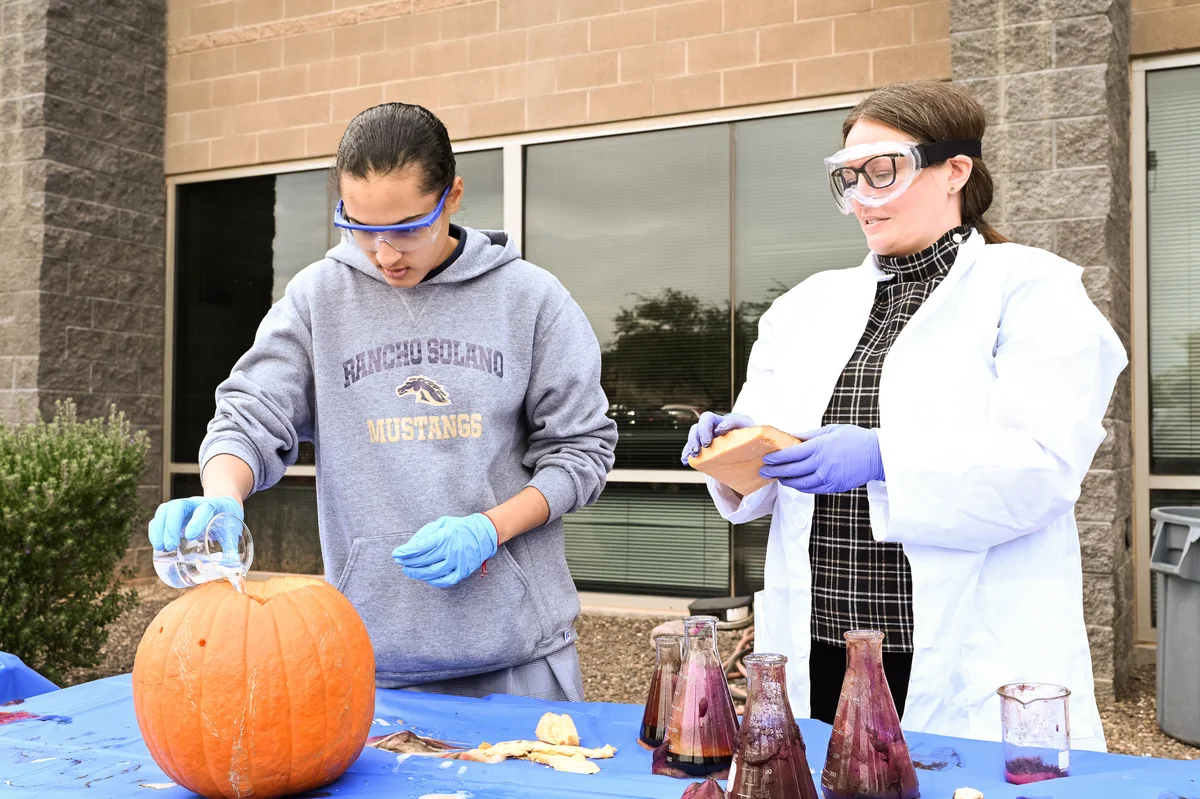 Consult our open positions