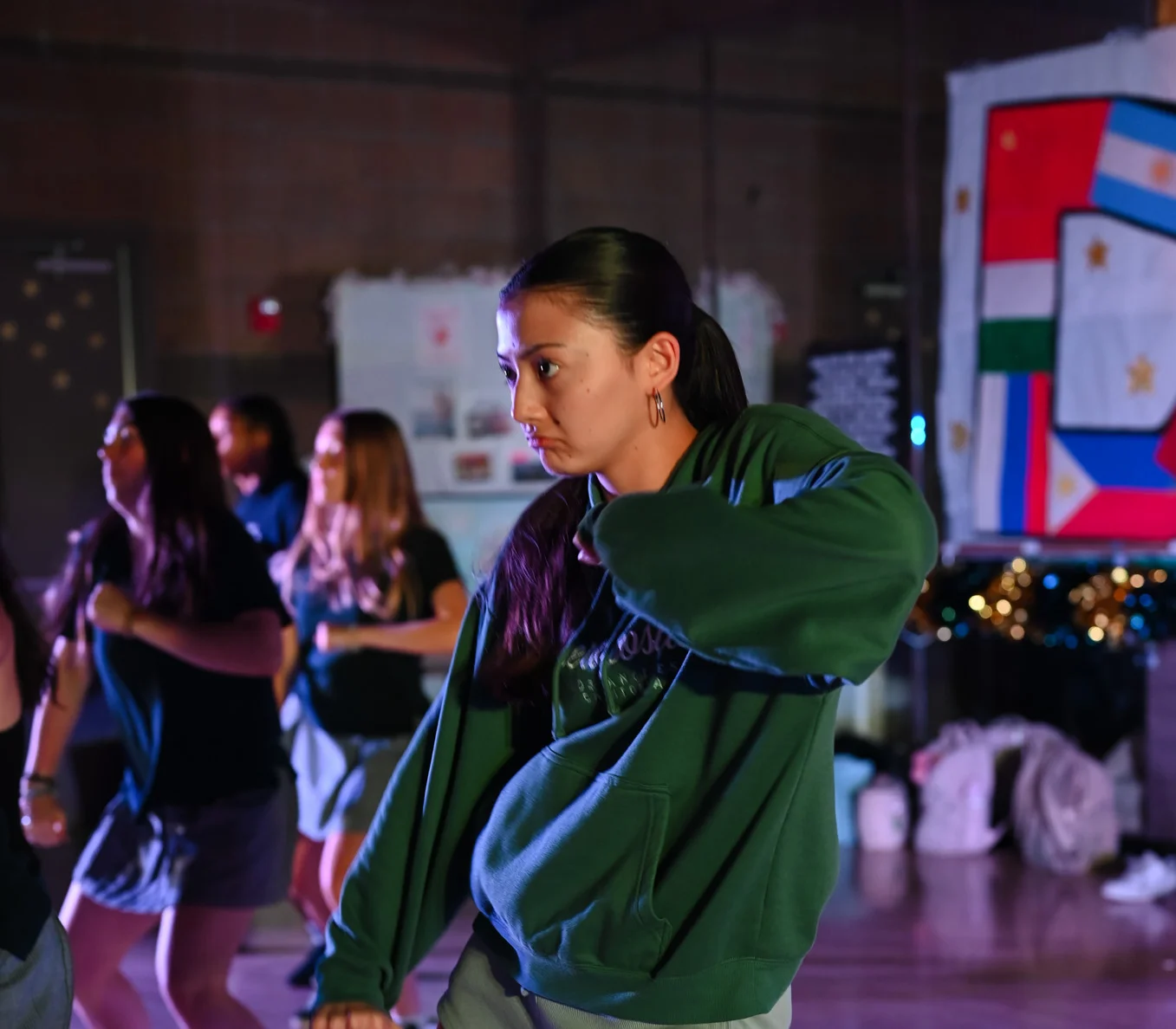 Fine and perfoming arts 12