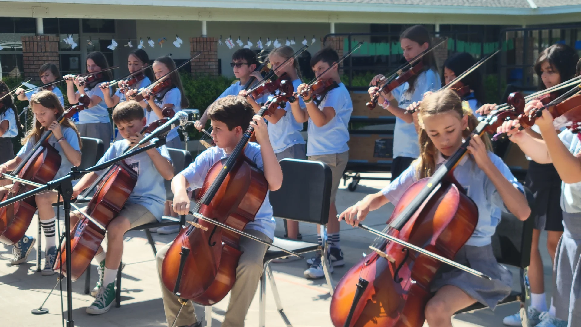 Fine and perfoming arts 5