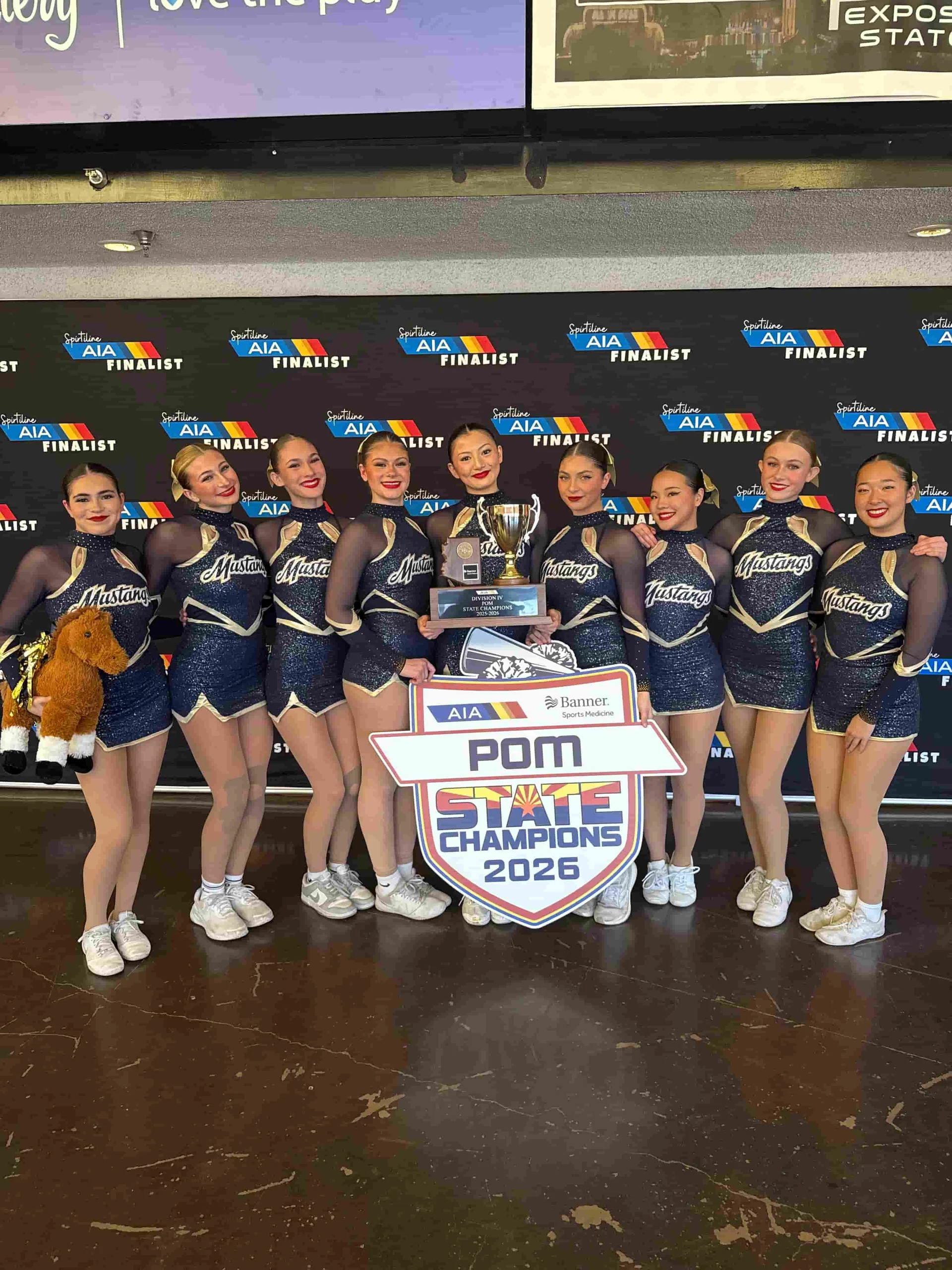 Pom/cheer