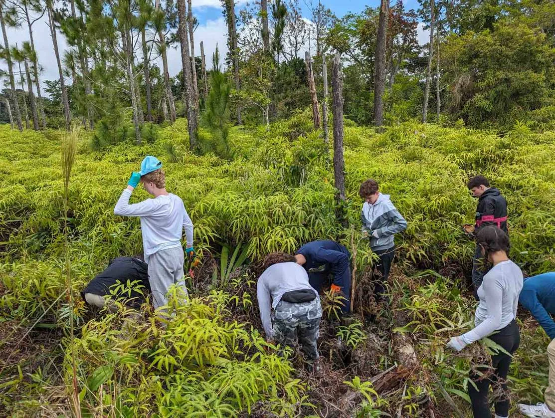 Service Learning and Community Service