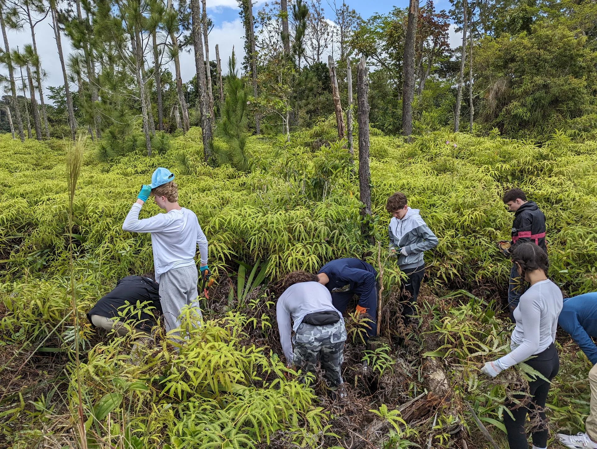 Service Learning and Community Service